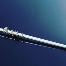 画像をギャラリービューアに読み込む, 【毎月5本限定】ウミガメ‐Sea turtle‐